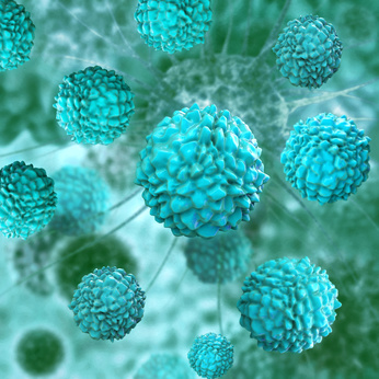 Woher Kommt Der Norovirus