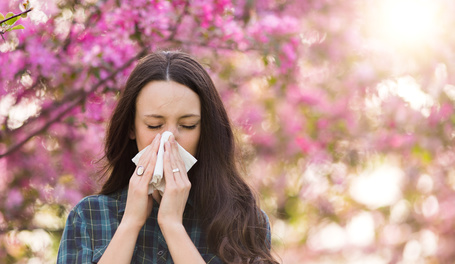 Allergie – wenn Pollen im Büro reizen